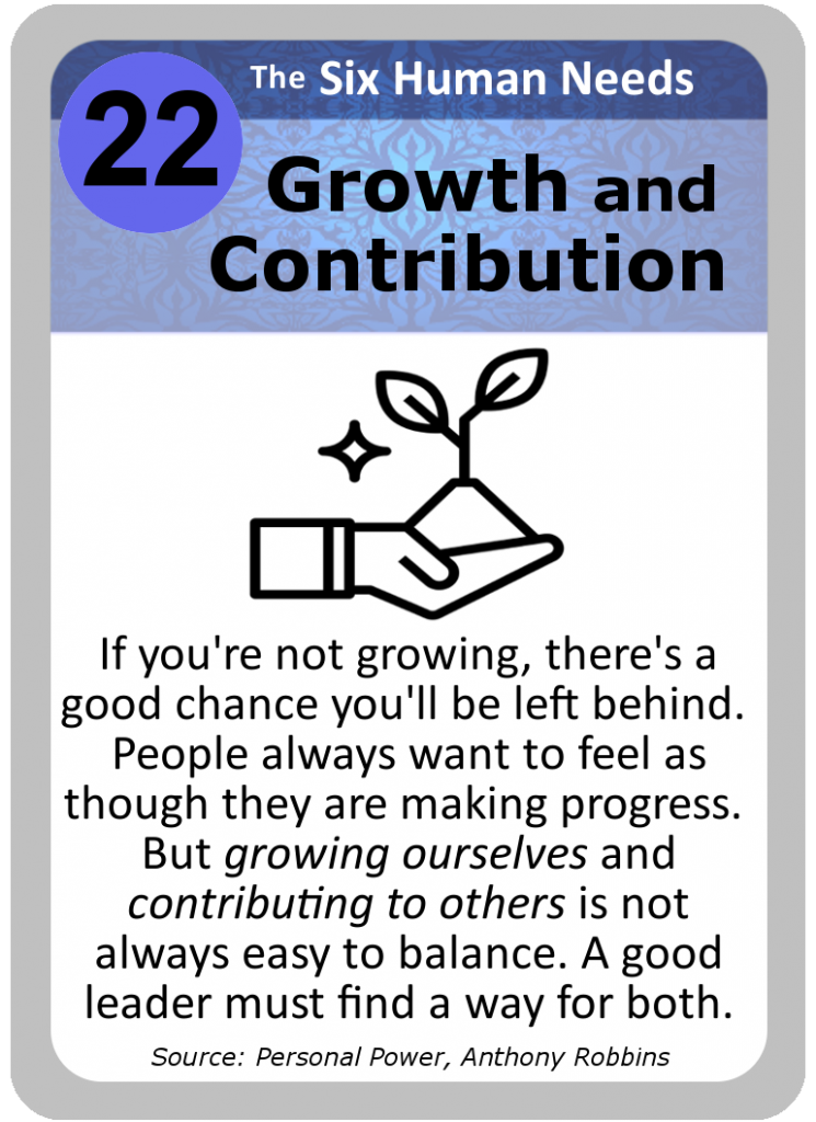 Leadership Card 22 – Growth and Contribution | Project Success