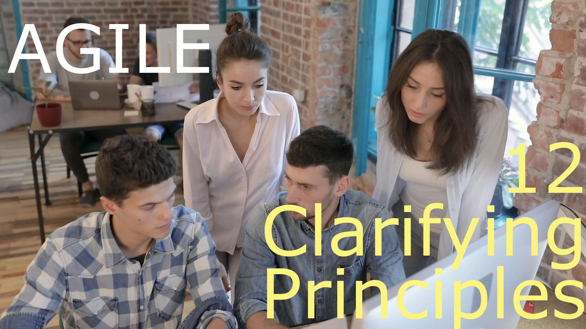 Agile 12 clarifying principles
