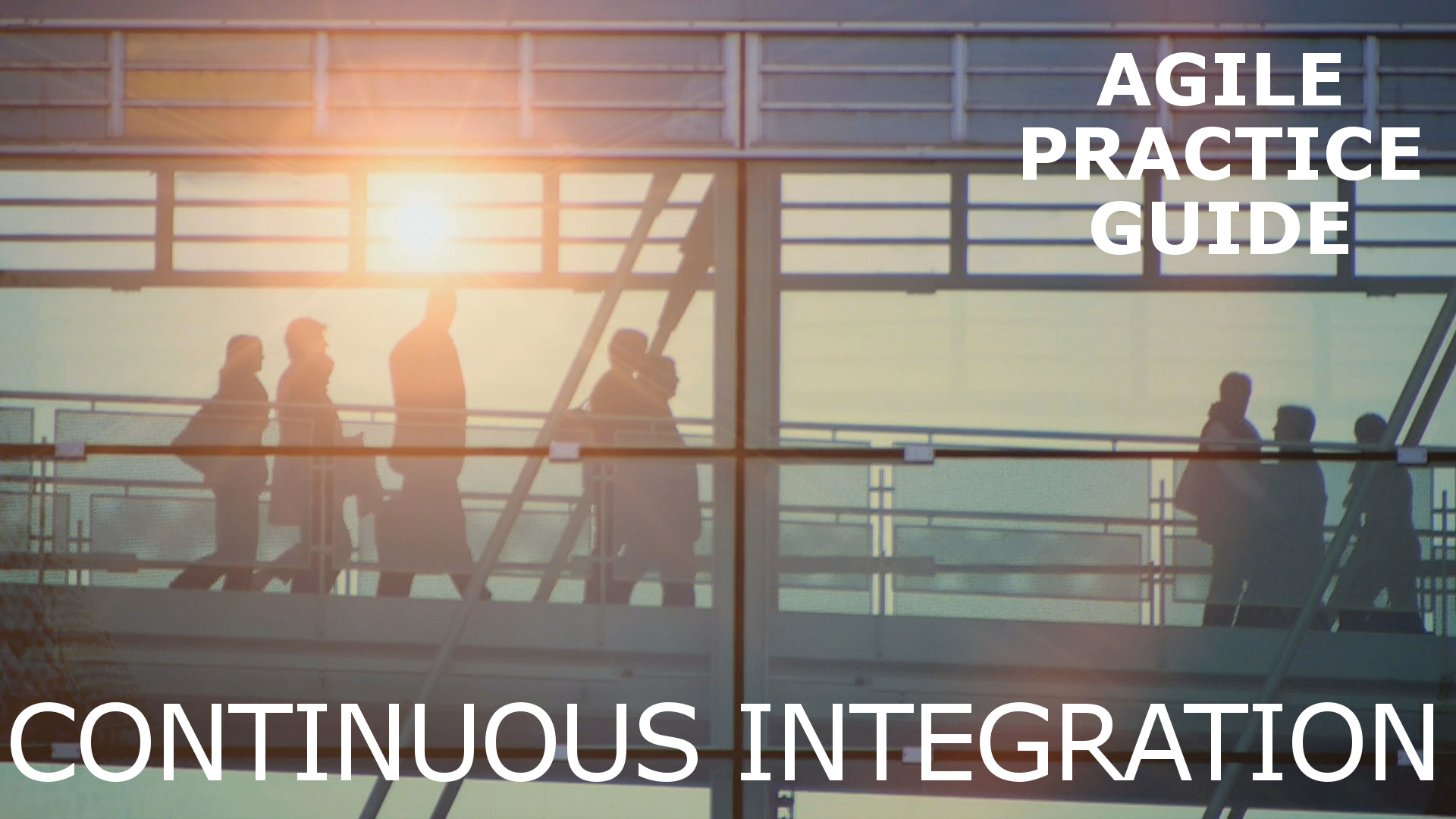 Agile Practice Guide Continuous Integration