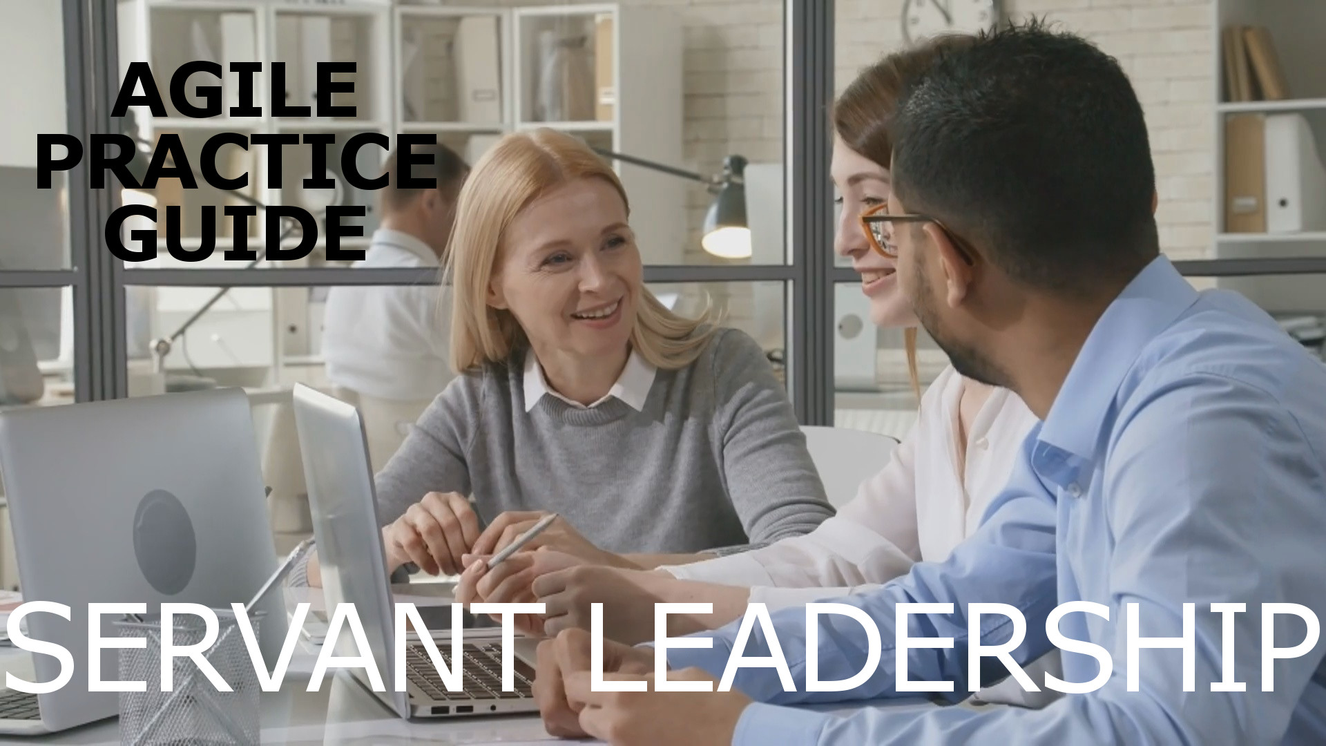 Agile servant leadership video