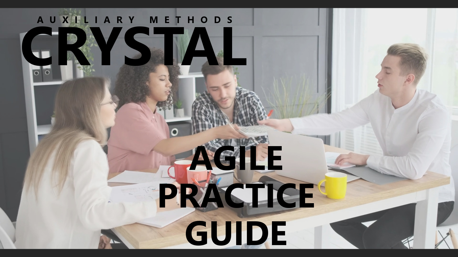 Agile_Practice_Guide_Crystal