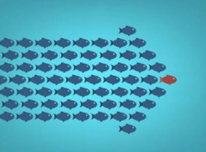 Project Managers Sphere of Influence