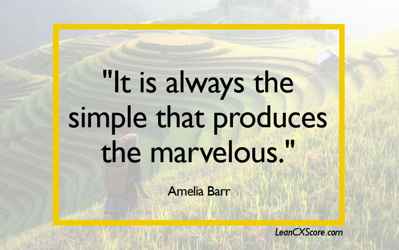 Leadership Quote-Amelia Barr-Simple-Marvelous