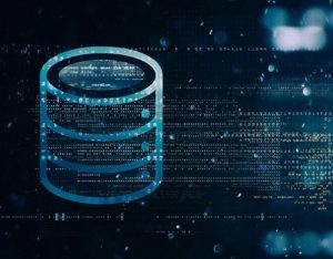 Project Management Data