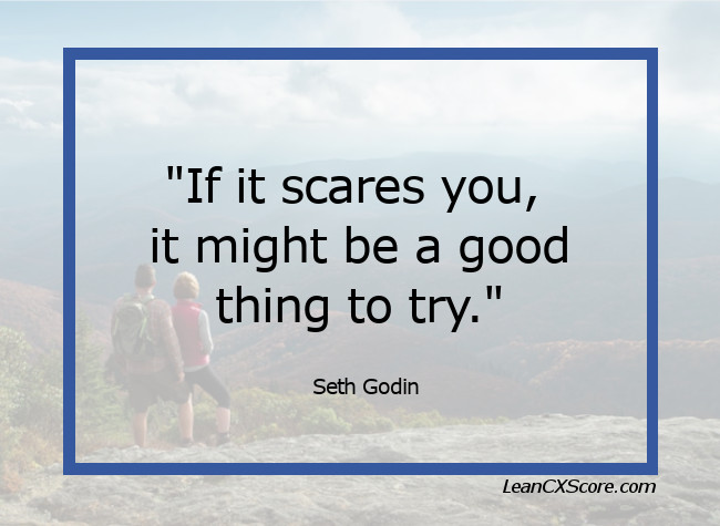 Seth Godin Quote If it scares you try