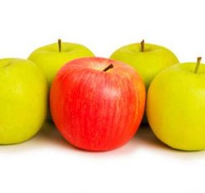 Power and Interest vs Salience Model - PMBOK