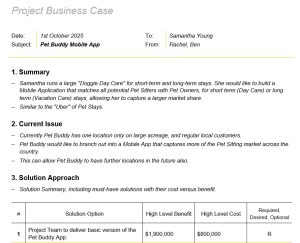 Business Case template