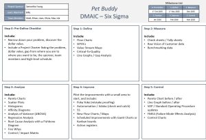 09 DMAIC Six Sigma Template 02