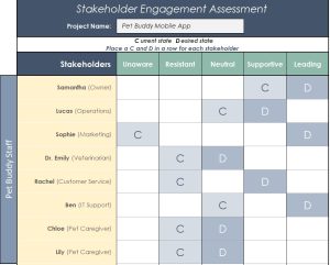 Stakeholder Engagement Matrix Template